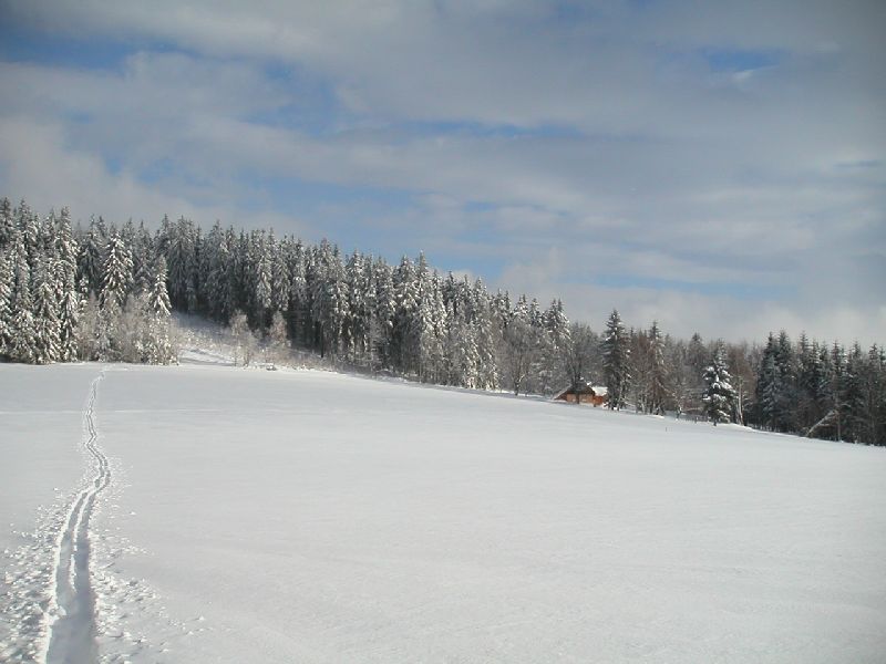 Lyžařská stopa pod Javorníkem, 18.ledna 2004