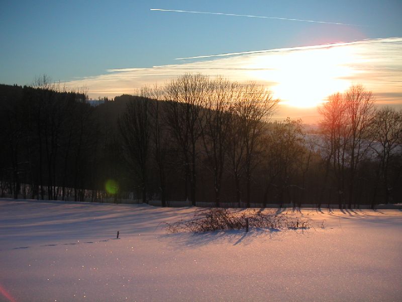 Pastvina nad silnicé ze Sklenařic do Olešnice, 24.ledna 2004