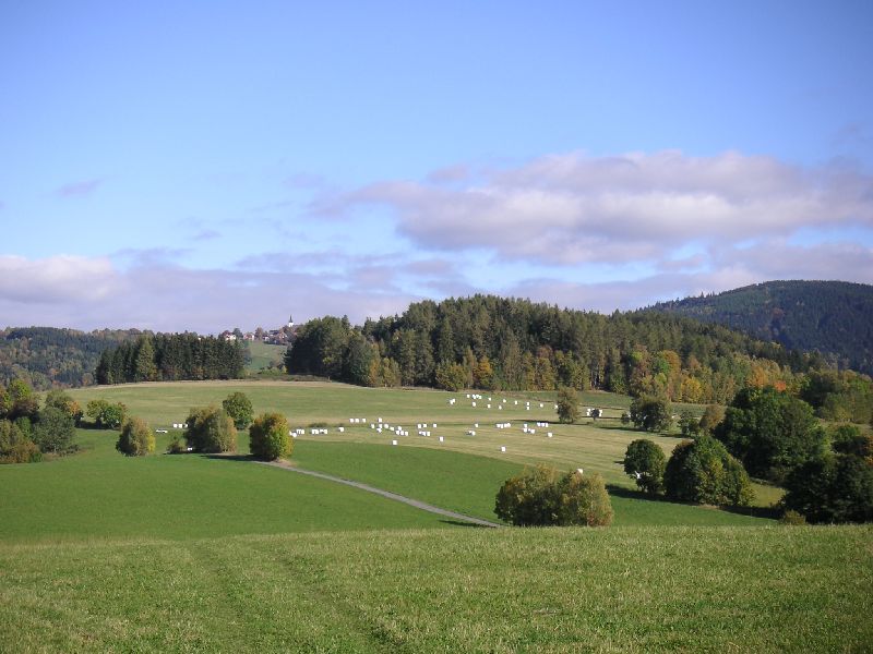 Na vrchu Humpolci nad Zlatou Olešnicí, 10.října 2004
