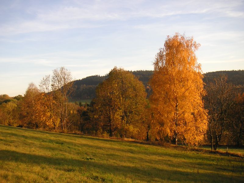 Pastvina nad silnicí ze Sklenařic do Olešnice, 24.října 2004