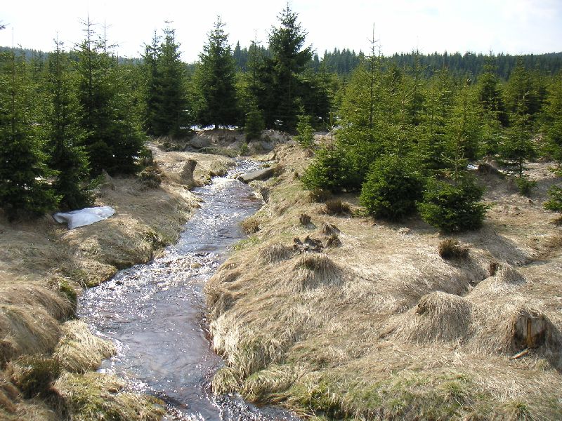 Potok mezi Václavíkovou Studánkou a Jizerkou, 30.dubna 2005