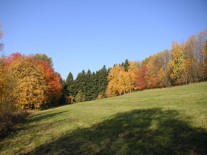 Pastvina nad silnicí ze Sklenařic do Olešnice, 29.října 2005