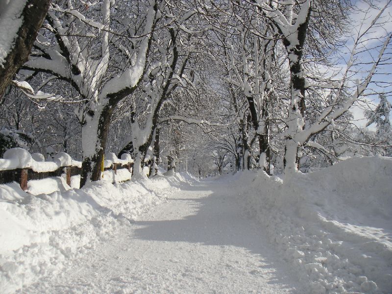 Cesta u hřbitova ve Vysokém nad Jizerou, 23.prosince 2005