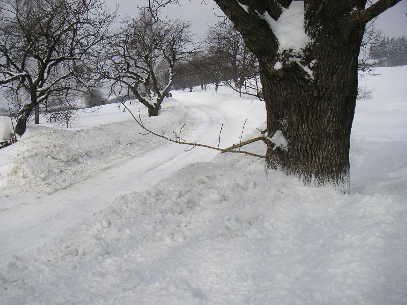 Sníh u silnice od Rejdic na křižovatce ve Sklenařicích, 12.března 2006