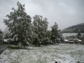 Návrat zimy do Sklenařic, 23.května 2004