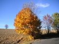 Pod Vysokým nad Jizerou, nad Starou Vsí, 28.října 2005