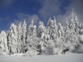 Zapadaný les nad Příchovicemi pod Hvězdou, 11.února 2006